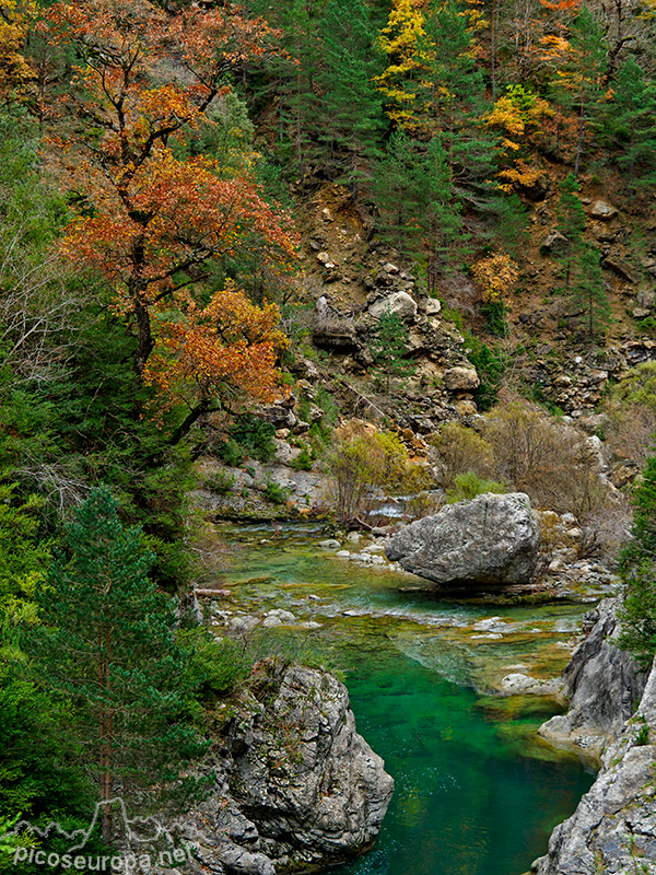 Foto: Otoño en el Desfiladero del río Bellos, Ordesa, Pirineos de Huesca, Aragón