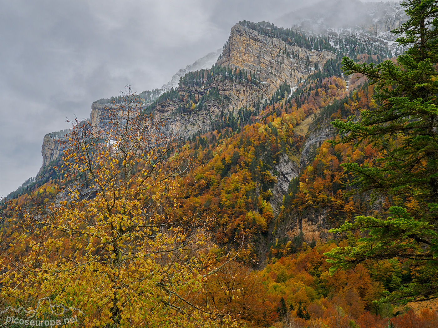 Foto: Pradera de Ordesa, Pirineos de Huesca, Aragon, Parque Nacional de Ordesa y Monte Perdido