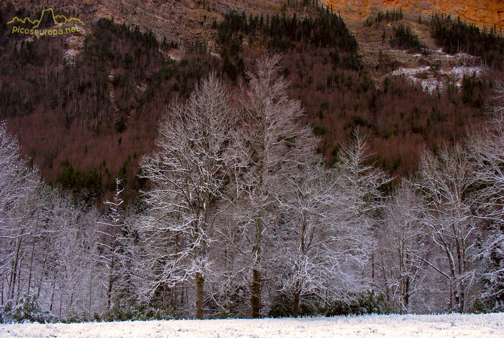 Invierno en la Pradera de Ordesa, Pirineos de Huesca, Aragon, Parque Nacional de Ordesa y Monte Perdido