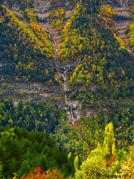 Los bosques trepan por las imposibles laderas de la Sierra de las Tucas de 1.500m de desnivel.