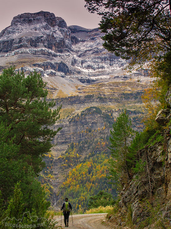 Valle de Pineta, Parque Nacional de Ordesa y Monte Perdido